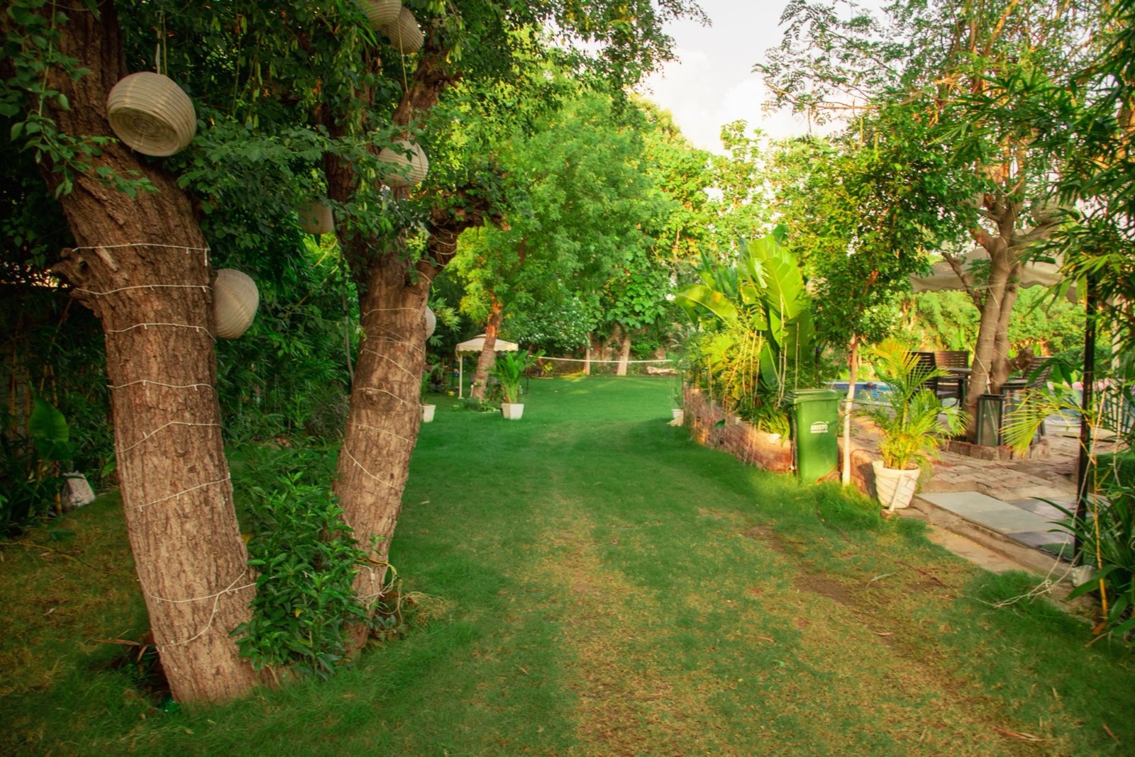 Garden with lantern-lit trees — We Woods Farm farmhouse Manesar Gurgaon